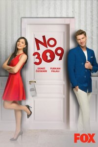  Номер 309  постер